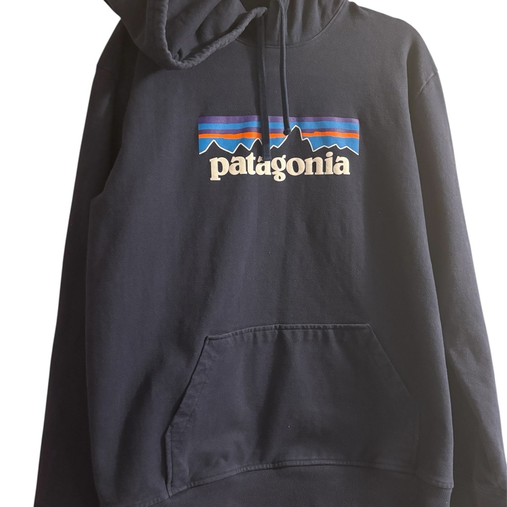 Patagonia Men's Navy Hoodie
